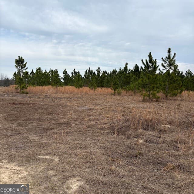 commercial for sale at 0 Oakridge Church Road, Tifton, GA 31794 — photo 2
