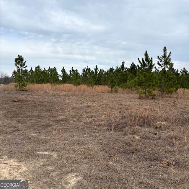 commercial for sale at 0 Oakridge Church Road, Tifton, GA 31794 — photo 3