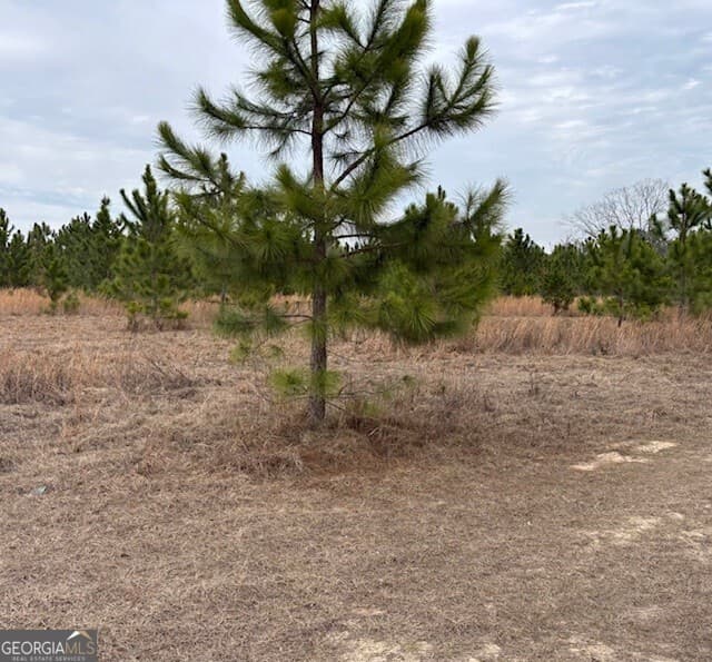 commercial for sale at 0 Oakridge Church Road, Tifton, GA 31794 — photo 1 of 4