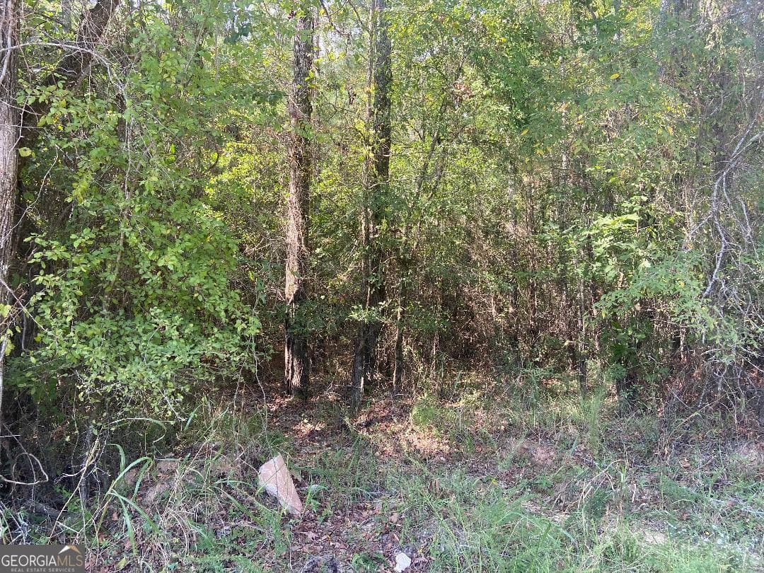 agriculture for sale at 0 Saggus Road, Crawfordville, GA 30631 — photo 2