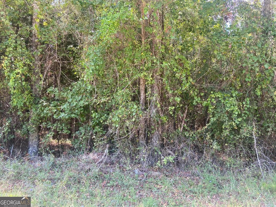 agriculture for sale at 0 Saggus Road, Crawfordville, GA 30631 — photo 3