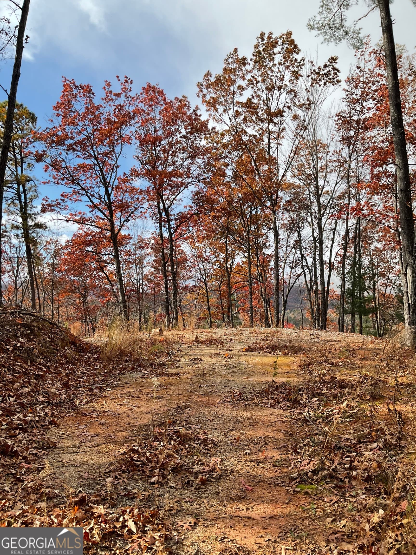 agriculture for sale at 0 Lynn Drive, Clayton, GA 30525 — photo 7