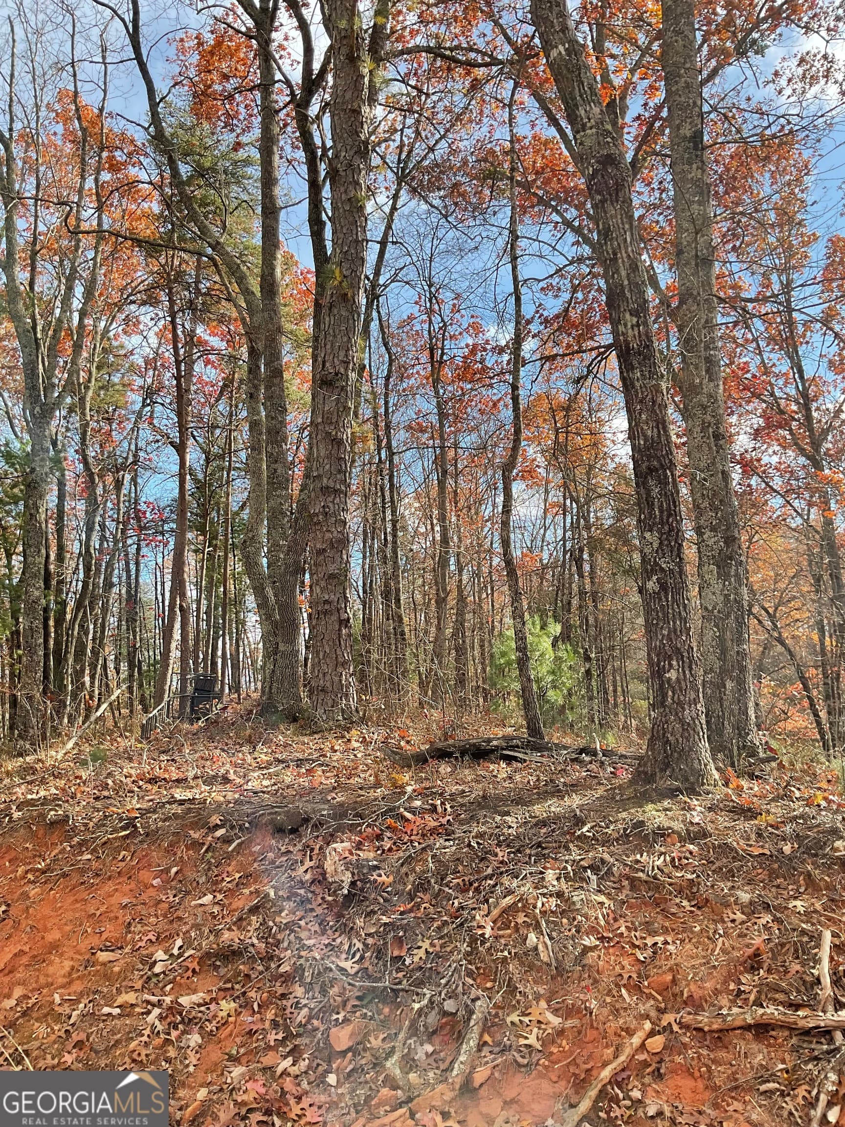 agriculture for sale at 0 Lynn Drive, Clayton, GA 30525 — photo 5