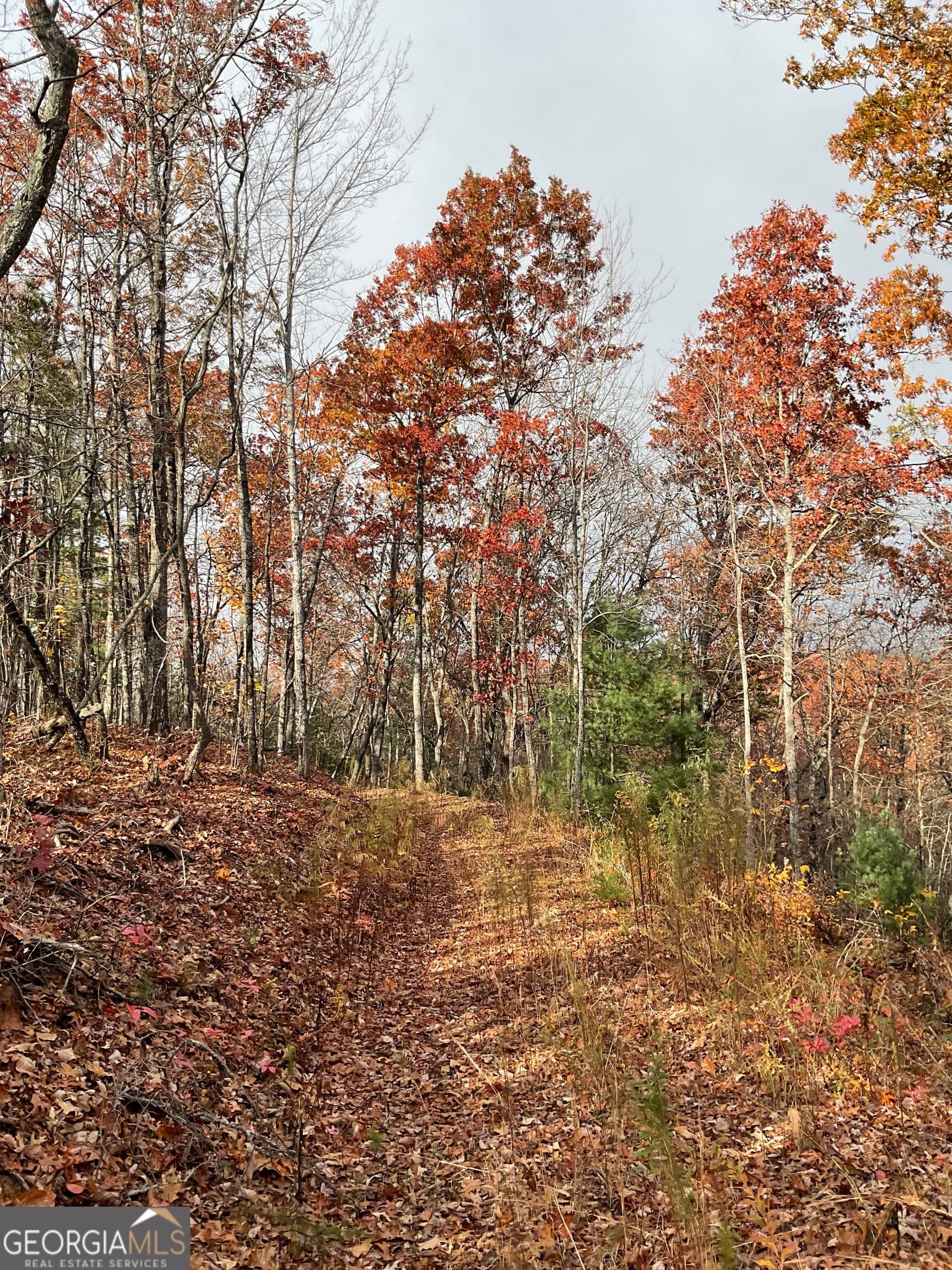 agriculture for sale at 0 Lynn Drive, Clayton, GA 30525 — photo 9