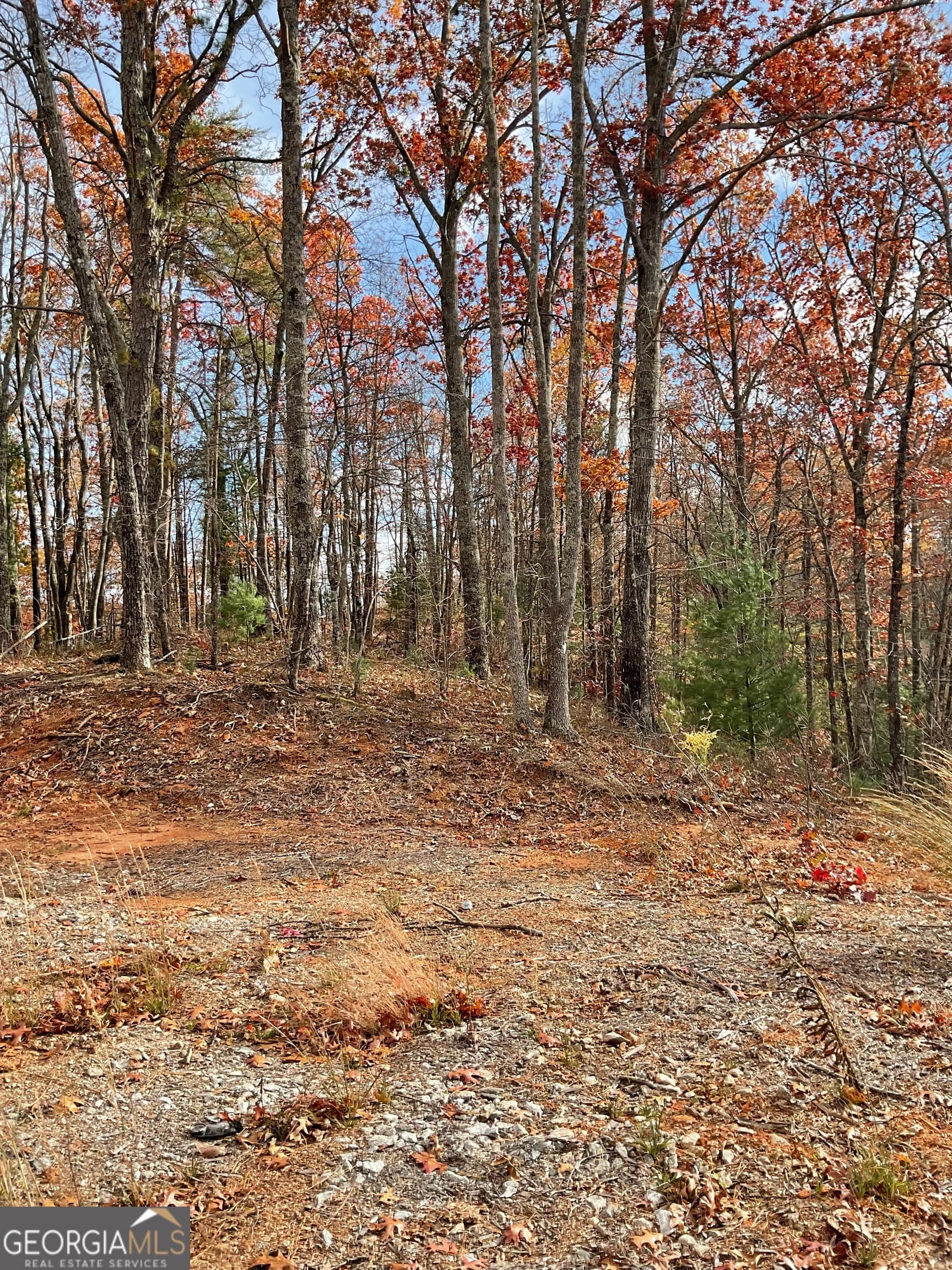 agriculture for sale at 0 Lynn Drive, Clayton, GA 30525 — photo 4
