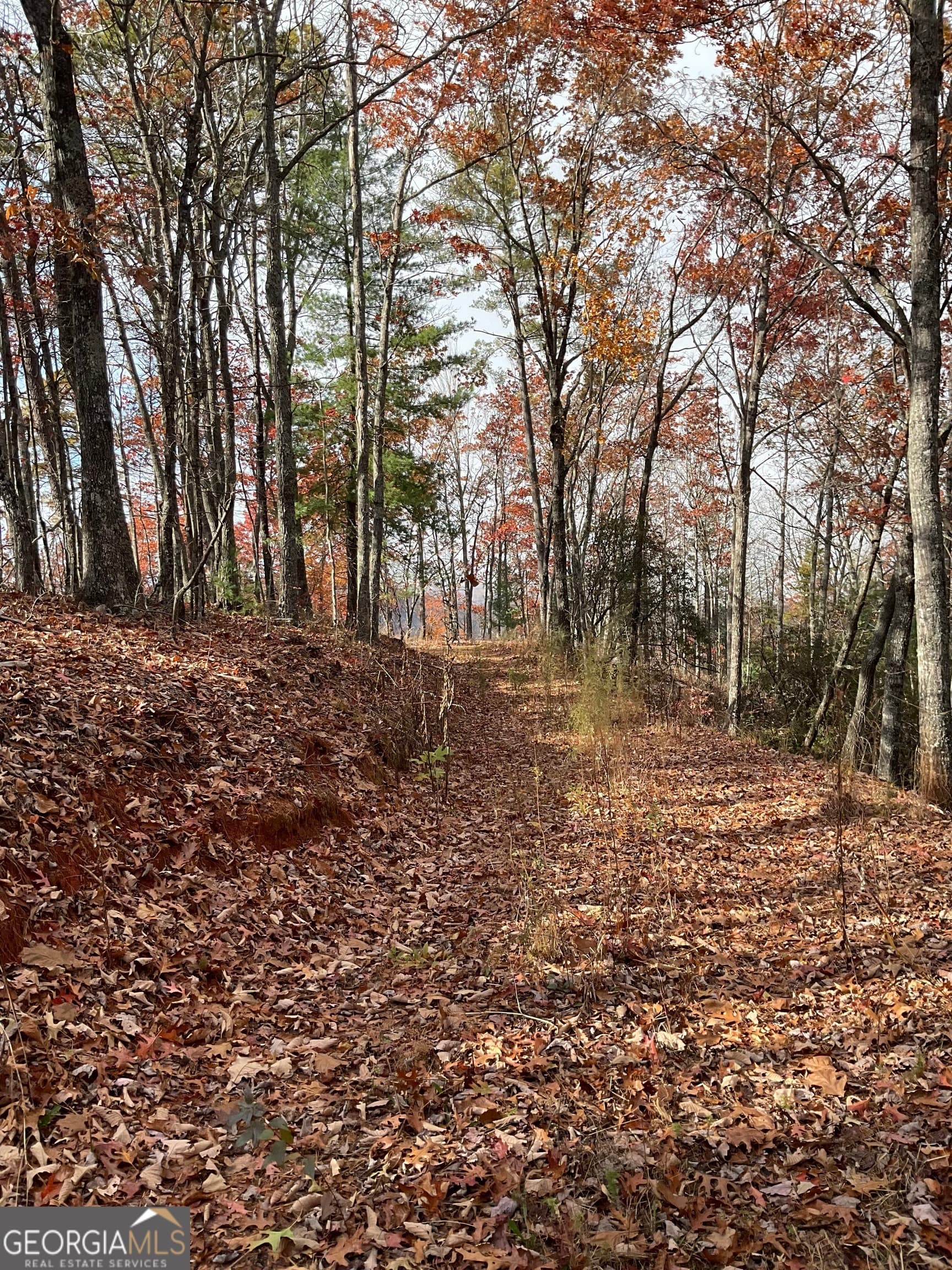 agriculture for sale at 0 Lynn Drive, Clayton, GA 30525 — photo 8