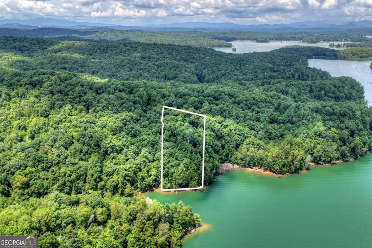 unimproved land for sale at LT 60 Necowa Cove Overlook, Blue Ridge, GA 30513 — photo 2