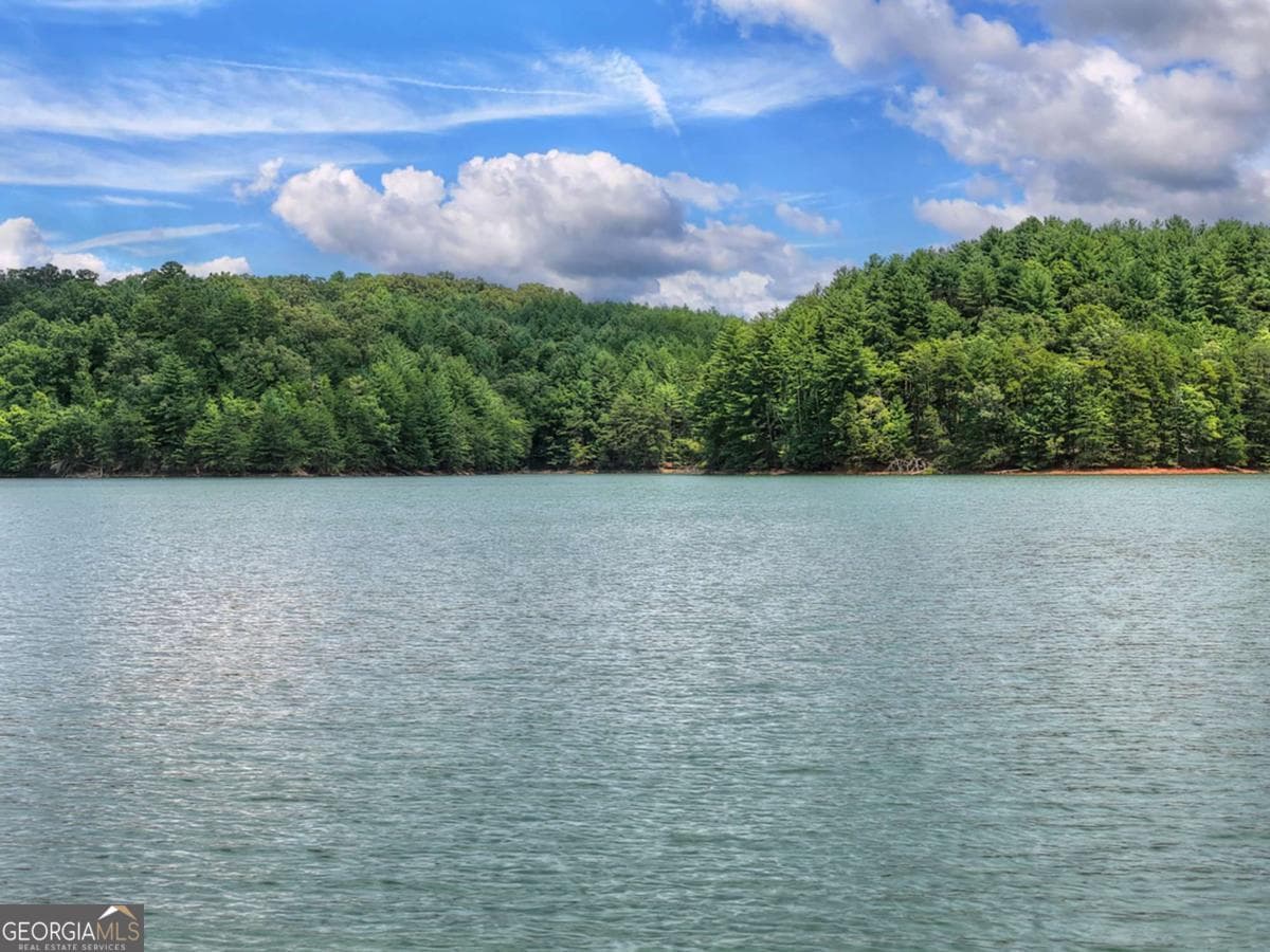 unimproved land for sale at LT 60 Necowa Cove Overlook, Blue Ridge, GA 30513 — photo 6