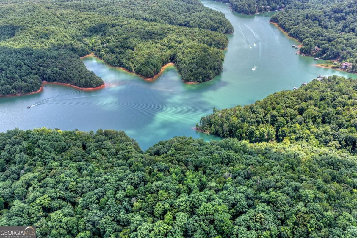 unimproved land for sale at LT 60 Necowa Cove Overlook, Blue Ridge, GA 30513 — photo 3