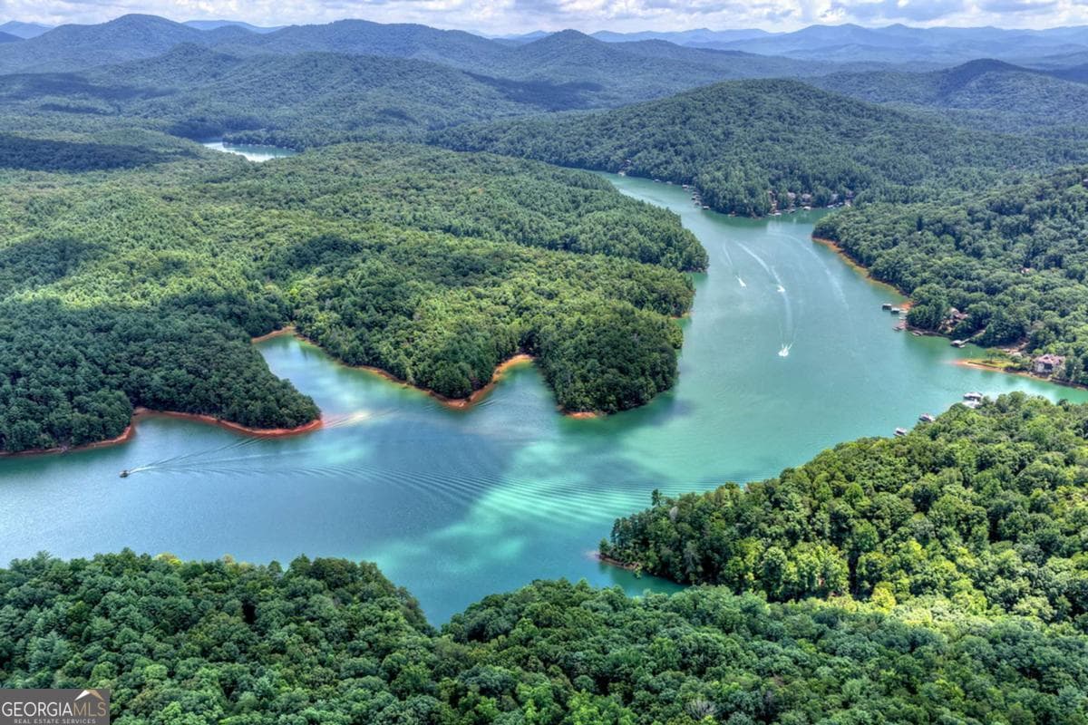 unimproved land for sale at LT 60 Necowa Cove Overlook, Blue Ridge, GA 30513 — photo 1 of 31