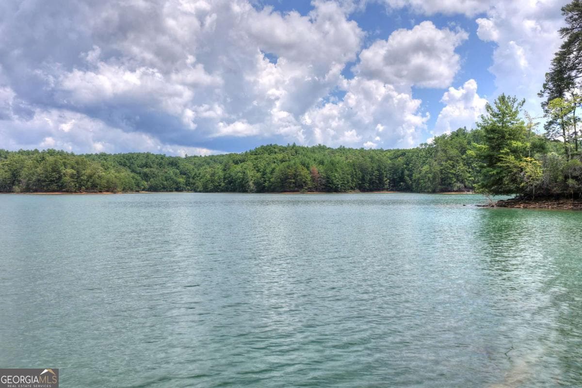 unimproved land for sale at LT 60 Necowa Cove Overlook, Blue Ridge, GA 30513 — photo 5
