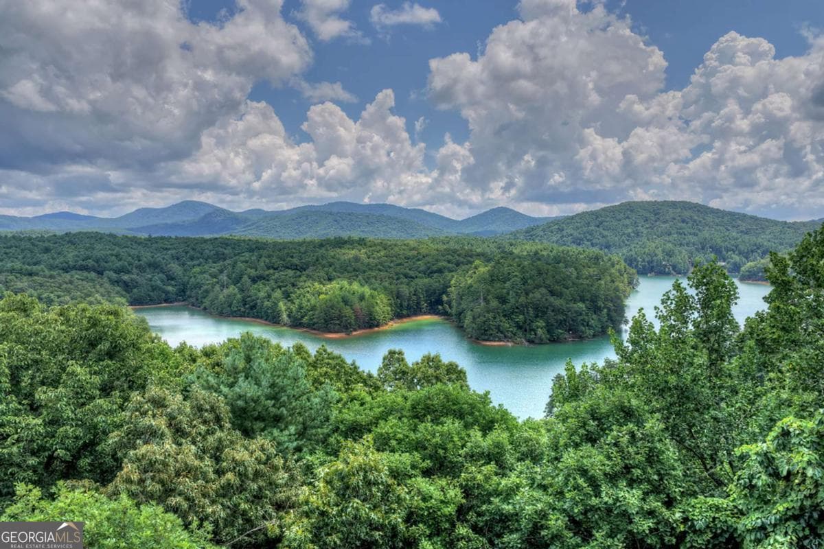 unimproved land for sale at LT 60 Necowa Cove Overlook, Blue Ridge, GA 30513 — photo 9