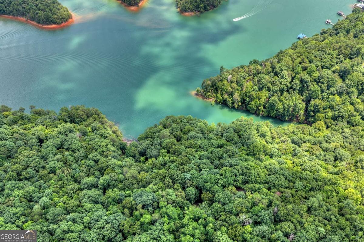 unimproved land for sale at LT 60 Necowa Cove Overlook, Blue Ridge, GA 30513 — photo 10