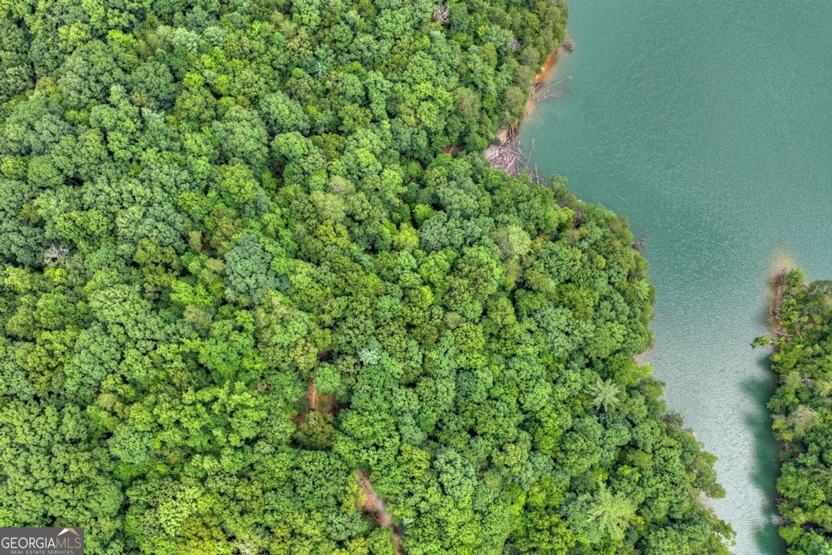 unimproved land for sale at LT 60 Necowa Cove Overlook, Blue Ridge, GA 30513 — photo 4