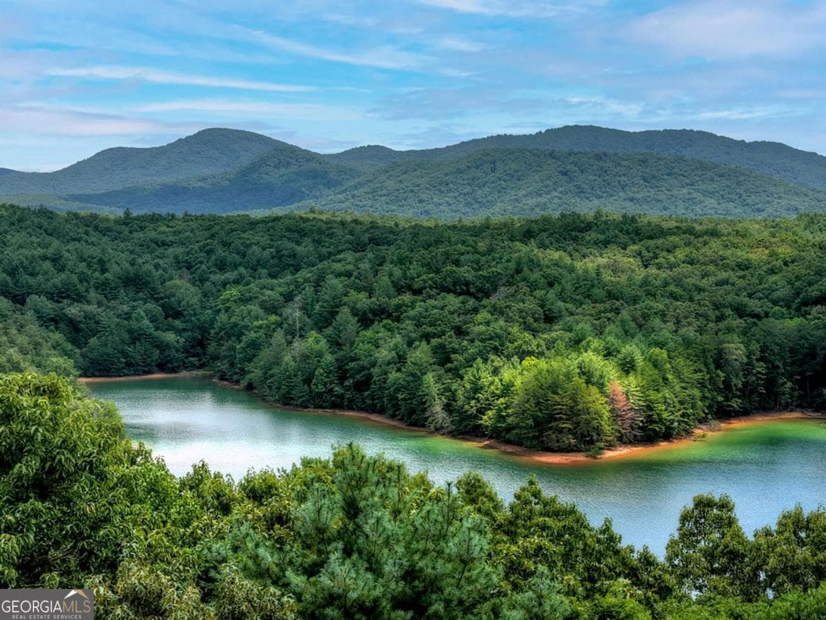 unimproved land for sale at LT 60 Necowa Cove Overlook, Blue Ridge, GA 30513 — photo 8