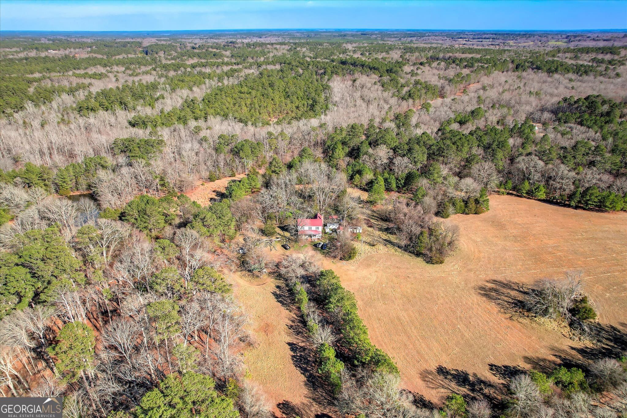 unimproved land for sale at 1138 Ben Lane, Lincolnton, GA 30817 — photo 2