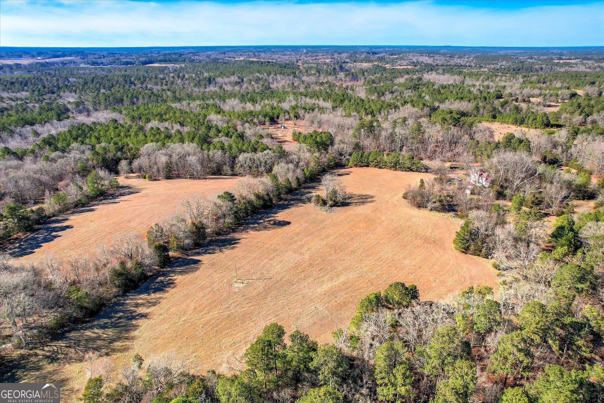 unimproved land for sale at 1138 Ben Lane, Lincolnton, GA 30817 — photo 7