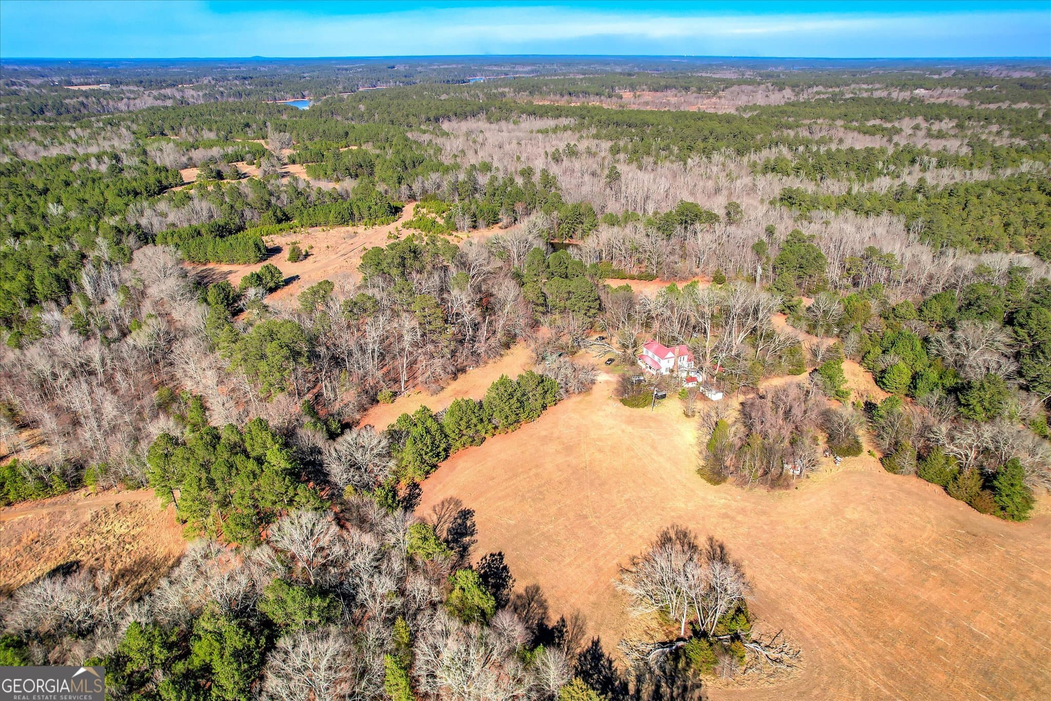 unimproved land for sale at 1138 Ben Lane, Lincolnton, GA 30817 — photo 3