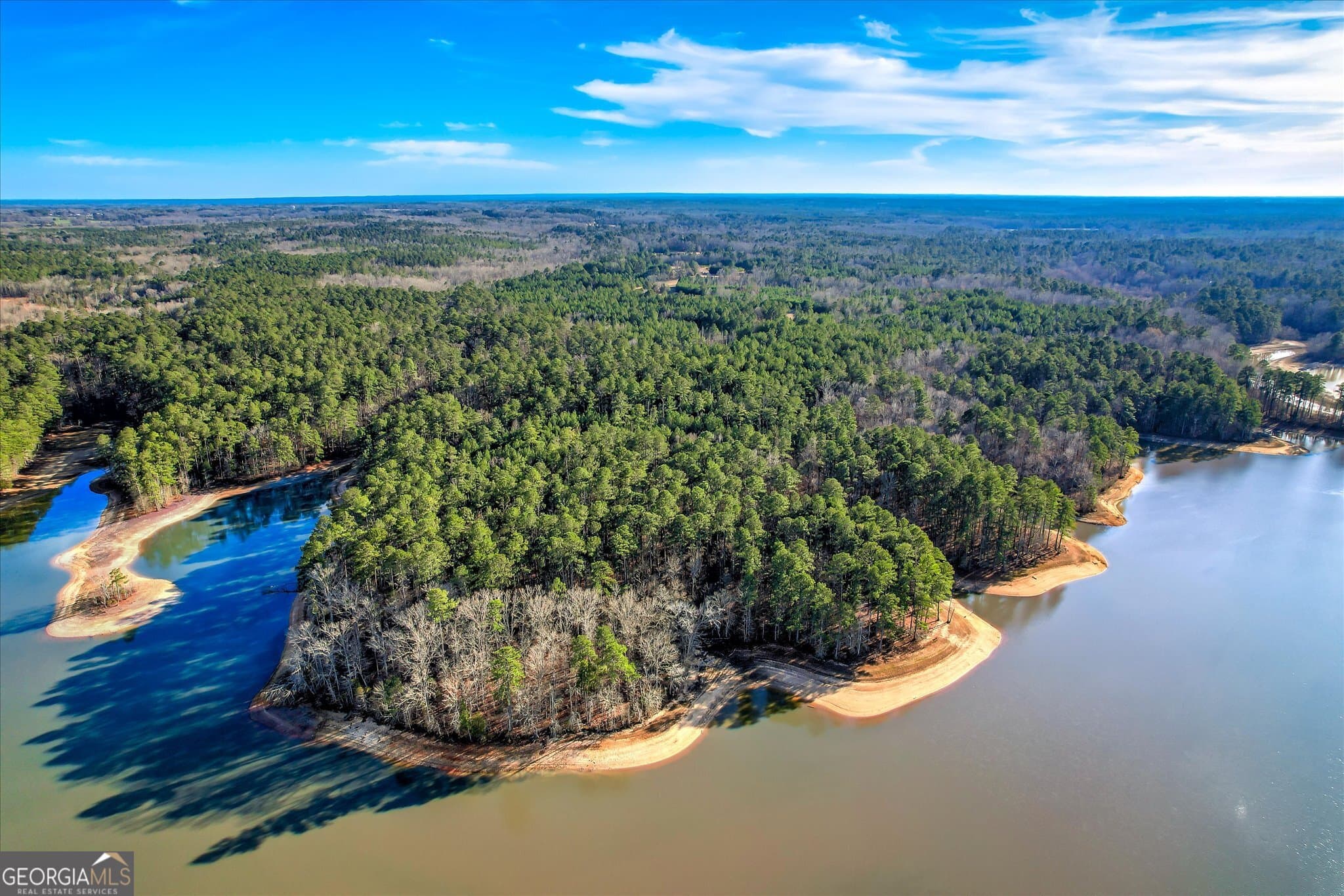 unimproved land for sale at 1138 Ben Lane, Lincolnton, GA 30817 — photo 1 of 20