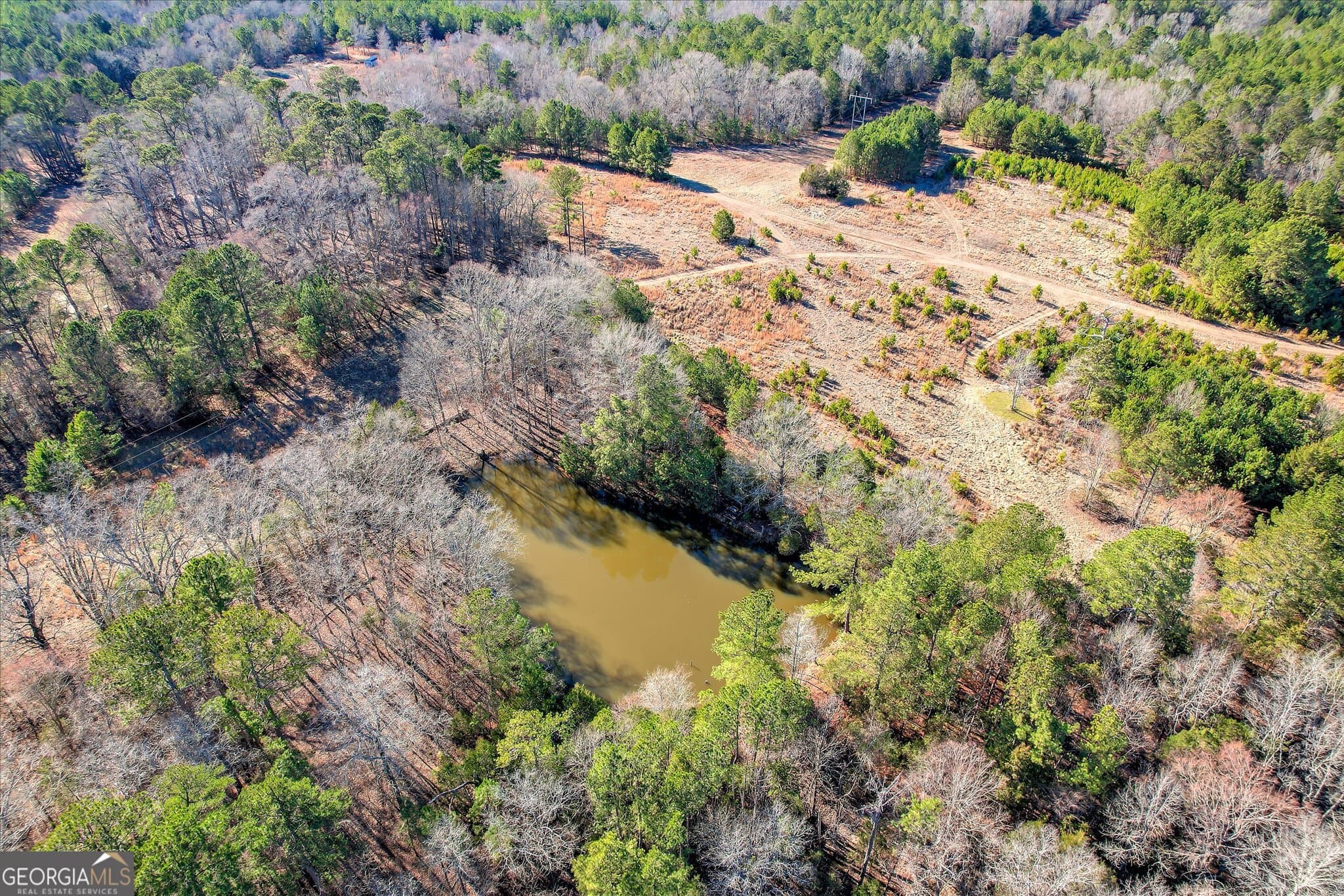 unimproved land for sale at 1138 Ben Lane, Lincolnton, GA 30817 — photo 9
