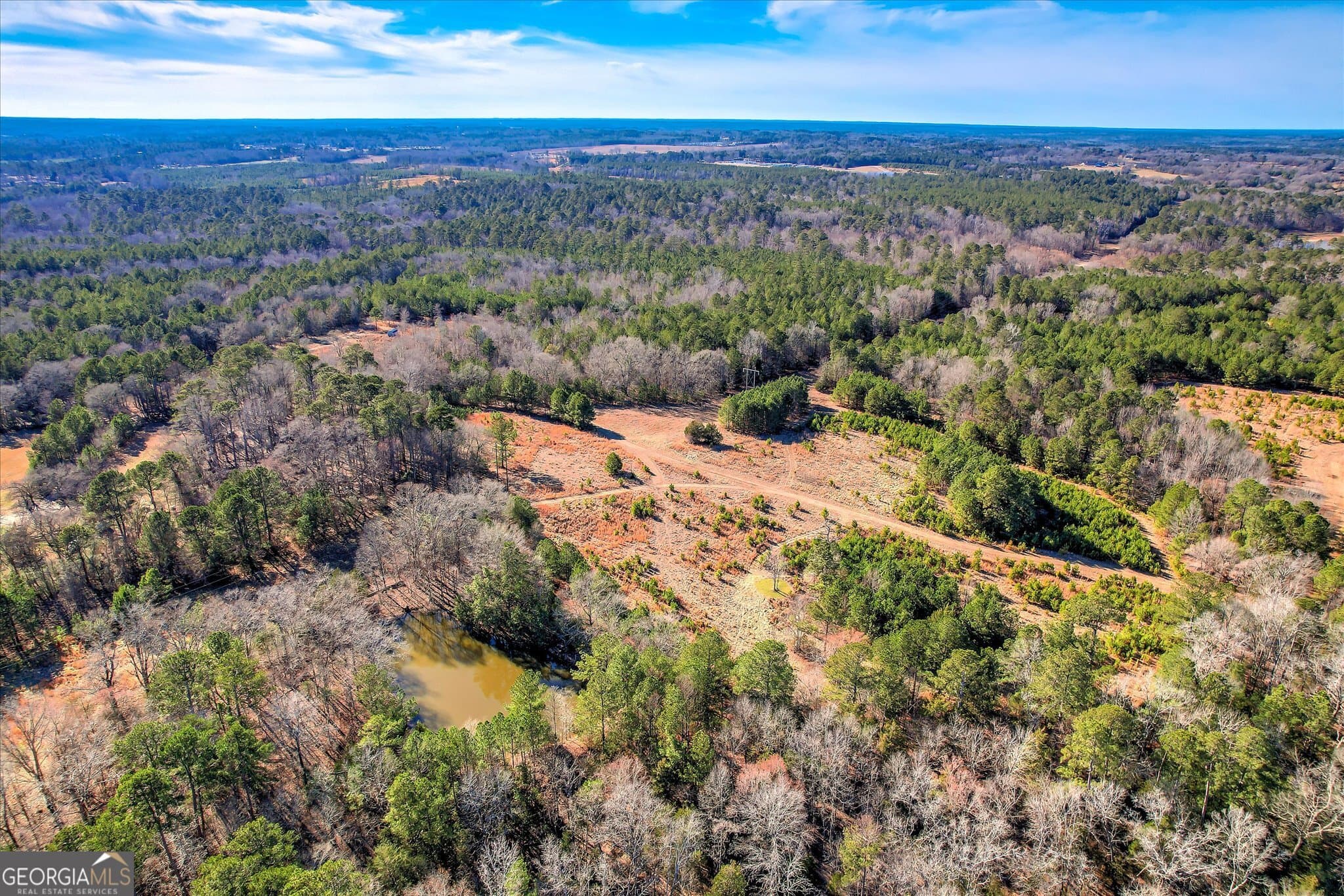 unimproved land for sale at 1138 Ben Lane, Lincolnton, GA 30817 — photo 10