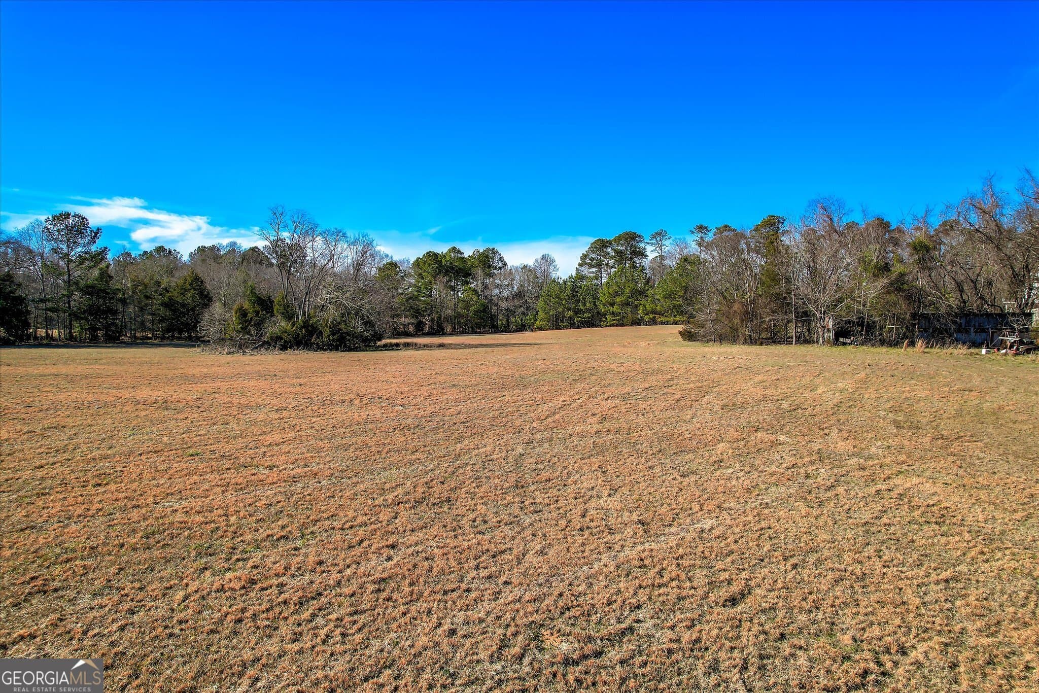 unimproved land for sale at 1138 Ben Lane, Lincolnton, GA 30817 — photo 8