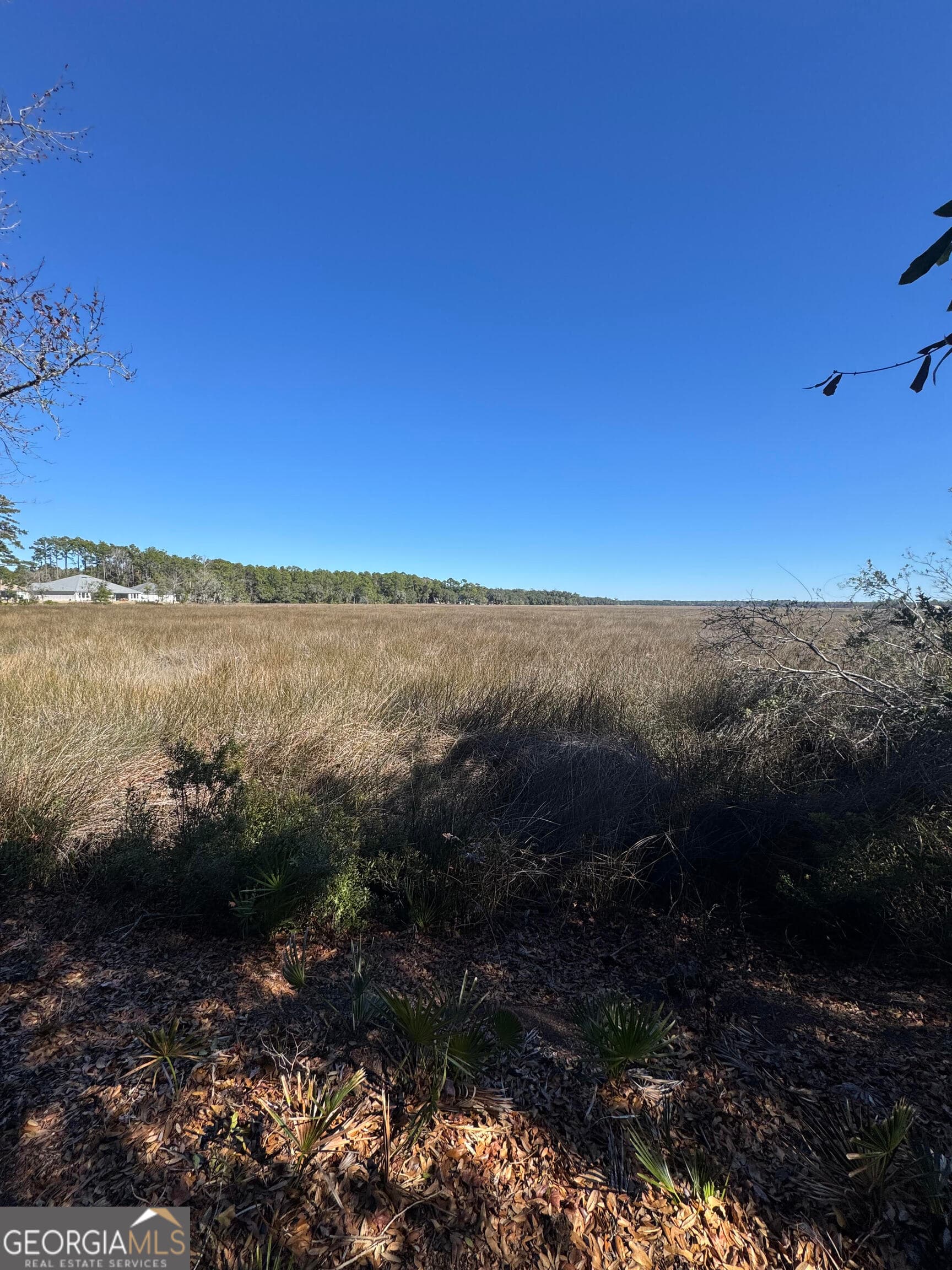 residential lot for sale at 0 Carrington Court, Kingsland, GA 31548 — photo 2