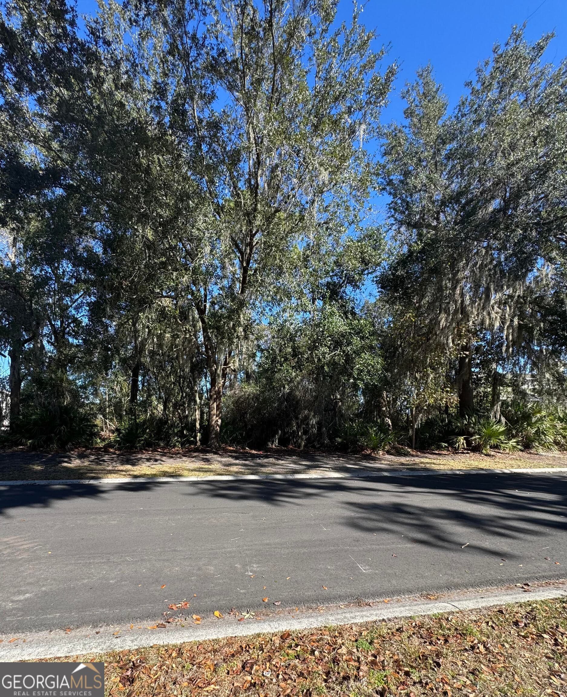 residential lot for sale at 0 Carrington Court, Kingsland, GA 31548 — photo 3