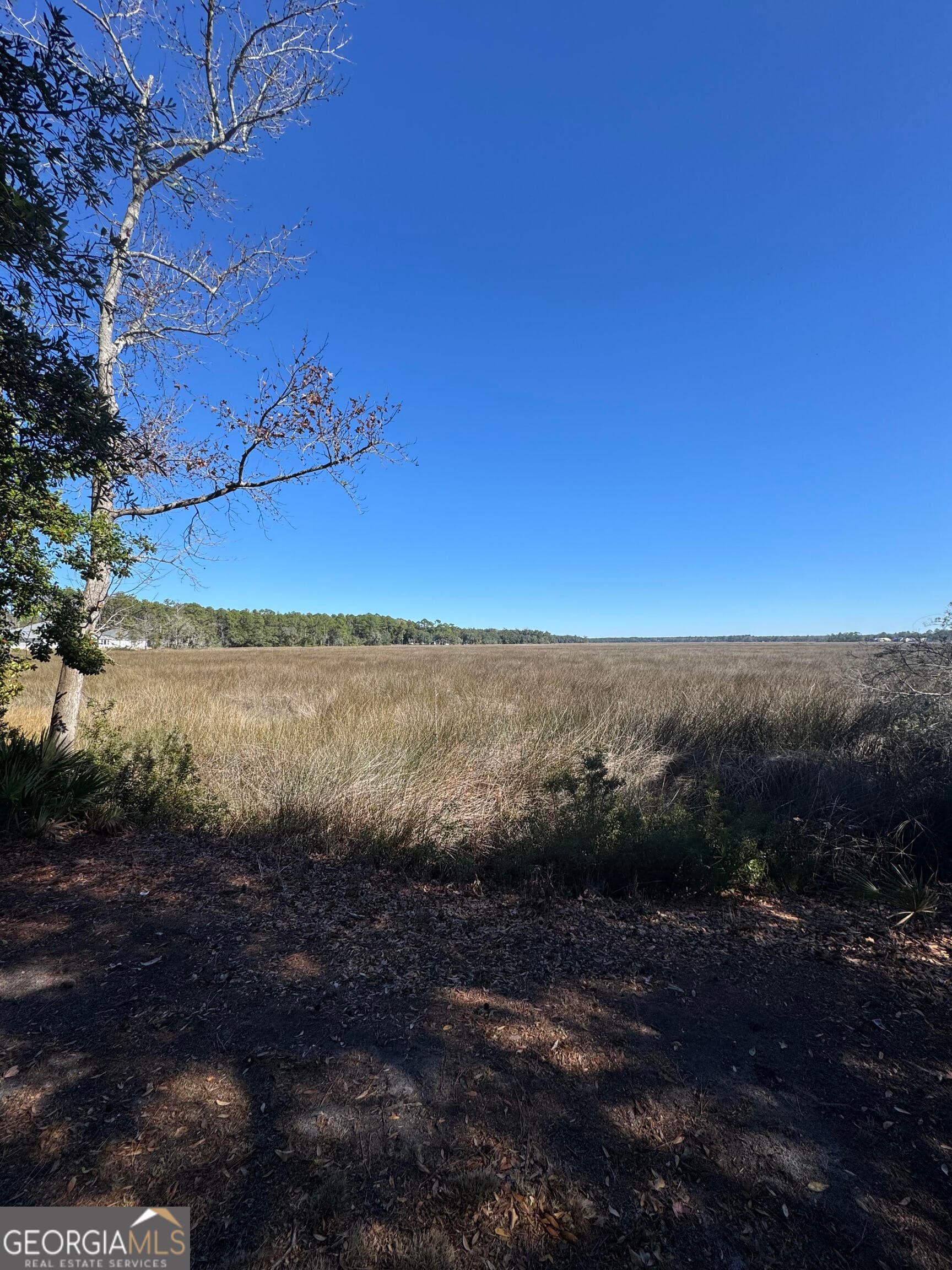 residential lot for sale at 0 Carrington Court, Kingsland, GA 31548