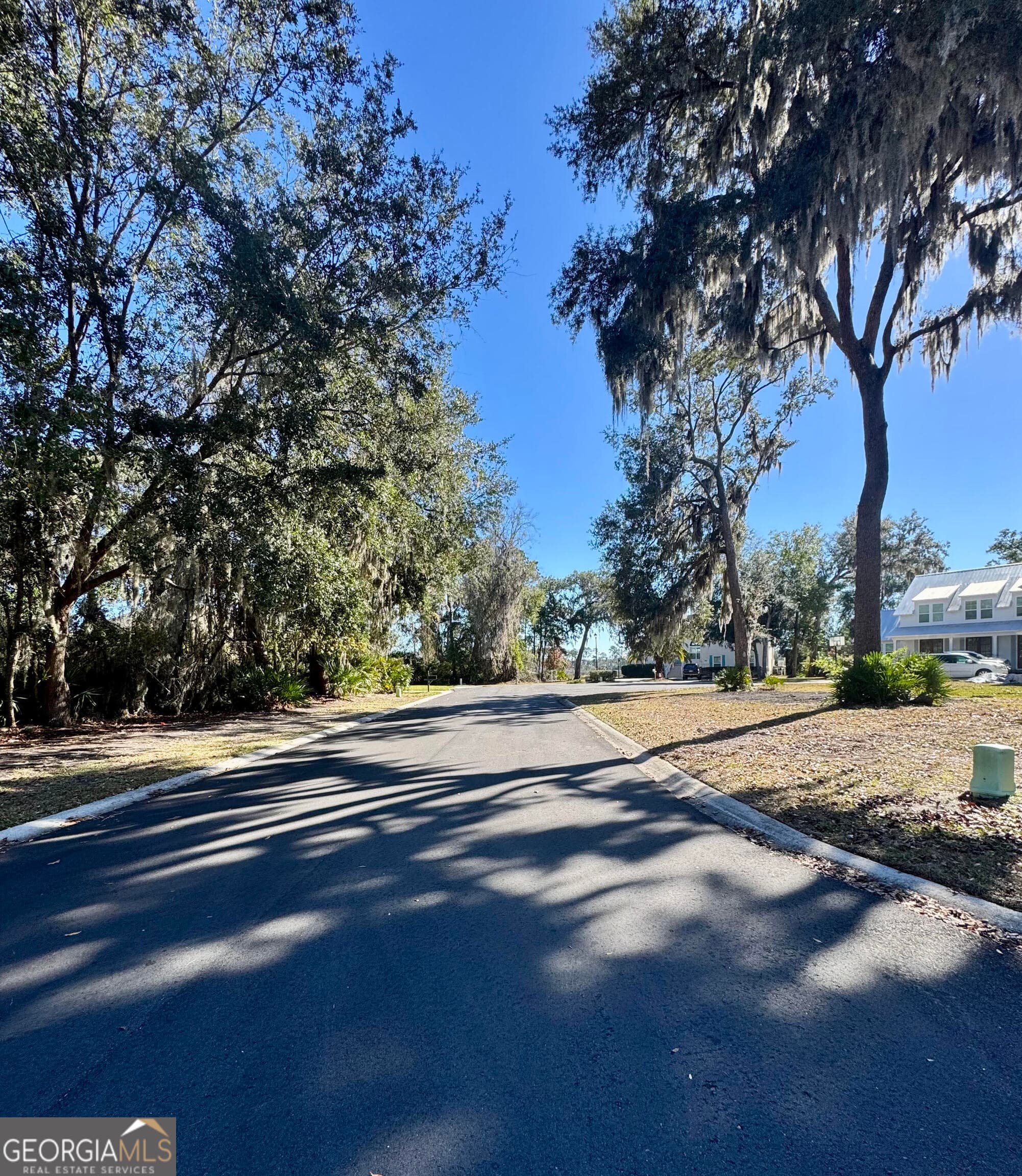 residential lot for sale at 0 Carrington Court, Kingsland, GA 31548 — photo 4