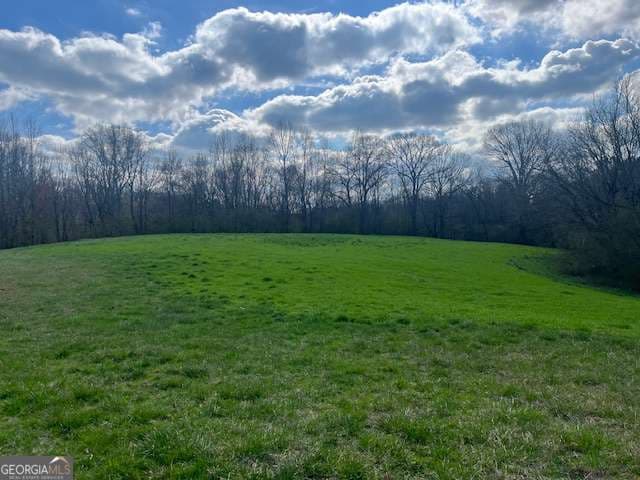 agriculture for sale at 0 Mark Foster, Talking Rock, GA 30175 — photo 1 of 2