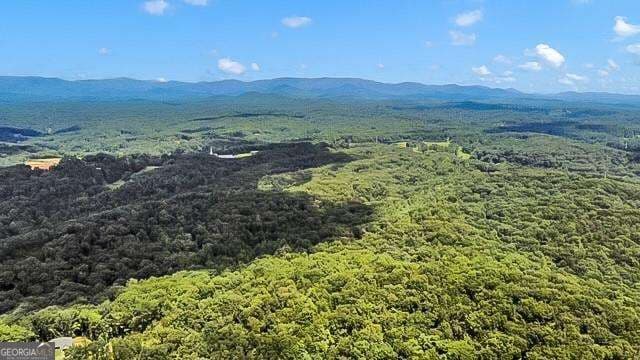 residential lot for sale at 130 Talon Way, Ball Ground, GA 30107 — photo 2