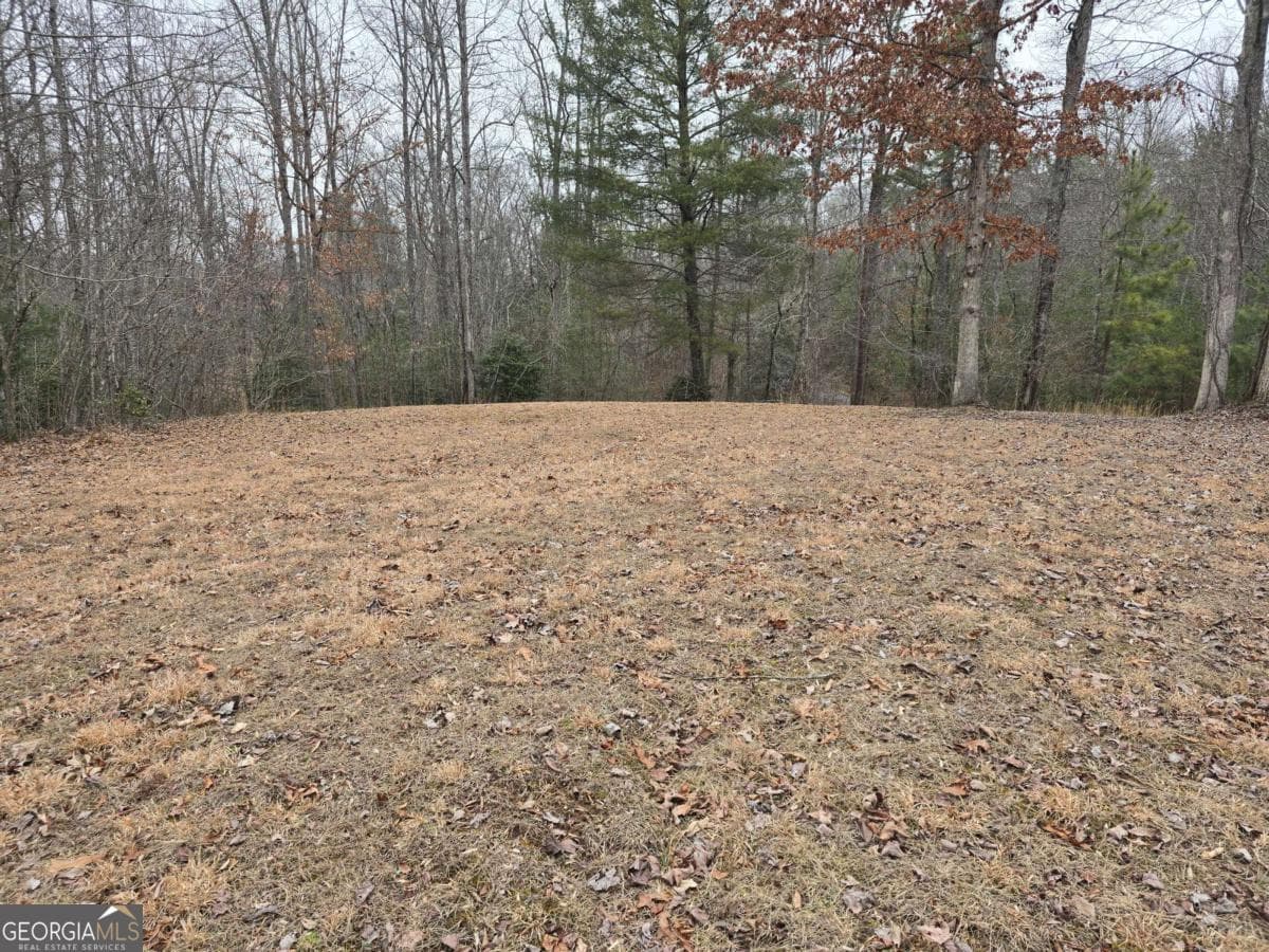 residential lot for sale at LOT 32 Ridges At Mill Creek, Murphy, NC 28906 — photo 6