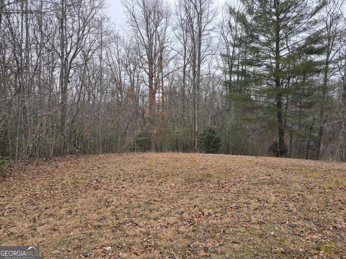 residential lot for sale at LOT 32 Ridges At Mill Creek, Murphy, NC 28906 — photo 7