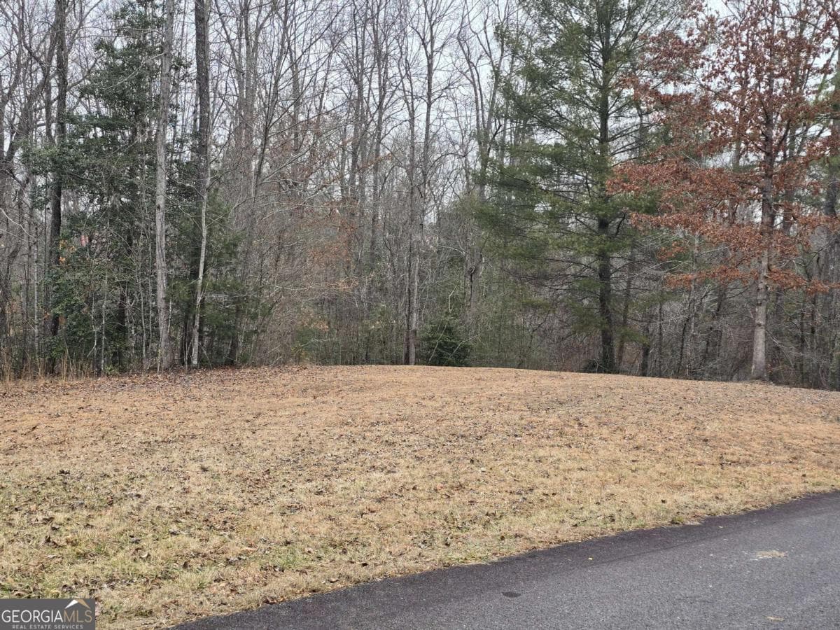 residential lot for sale at LOT 32 Ridges At Mill Creek, Murphy, NC 28906 — photo 1 of 18