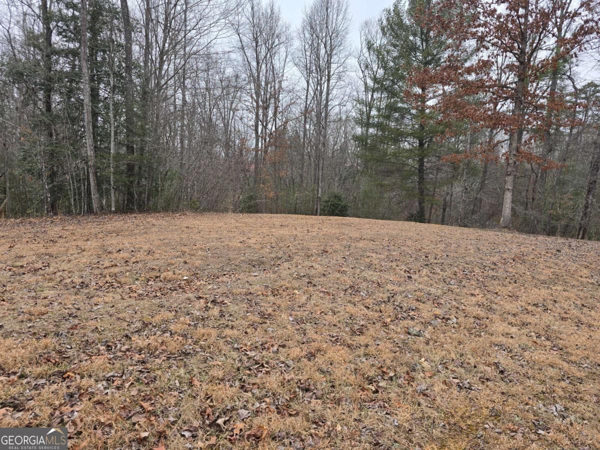 residential lot for sale at LOT 32 Ridges At Mill Creek, Murphy, NC 28906 — photo 9