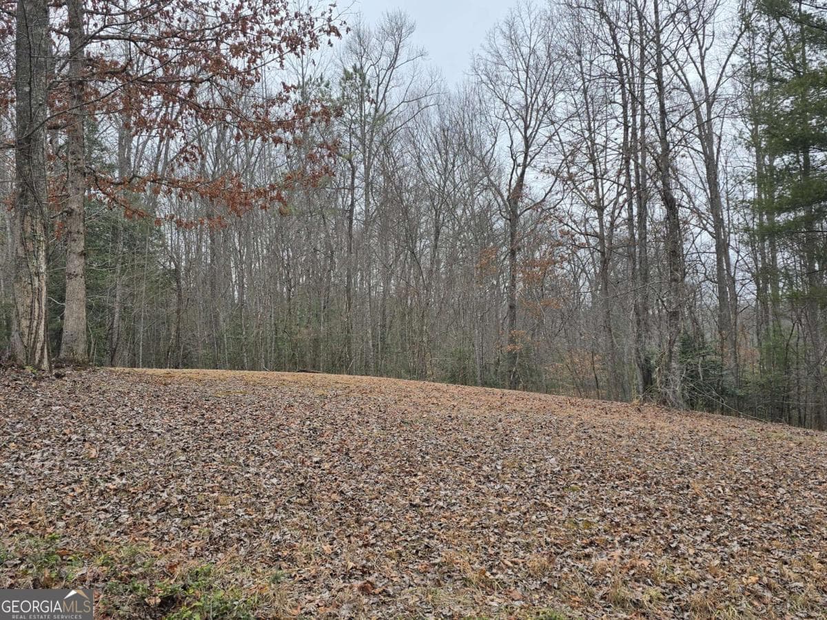 residential lot for sale at LOT 32 Ridges At Mill Creek, Murphy, NC 28906 — photo 10