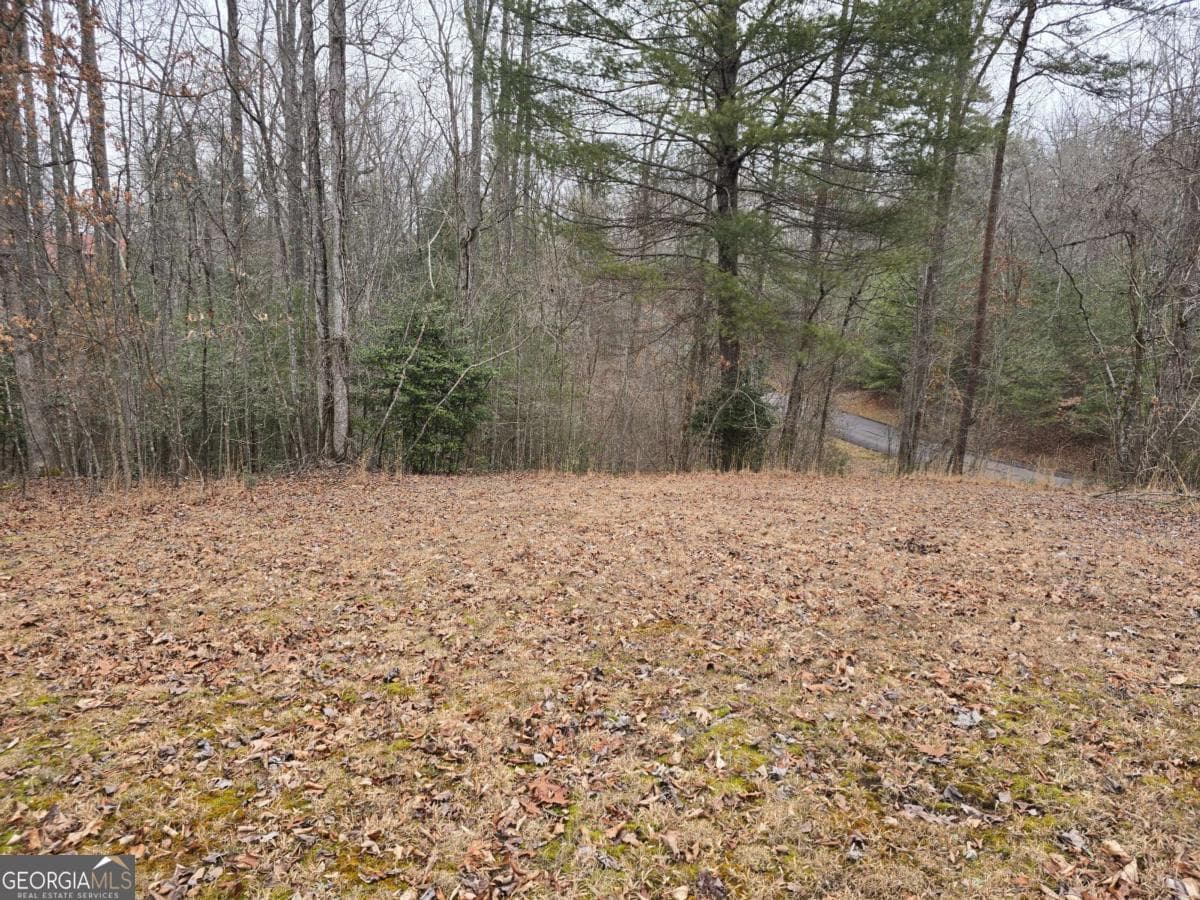 residential lot for sale at LOT 32 Ridges At Mill Creek, Murphy, NC 28906 — photo 8