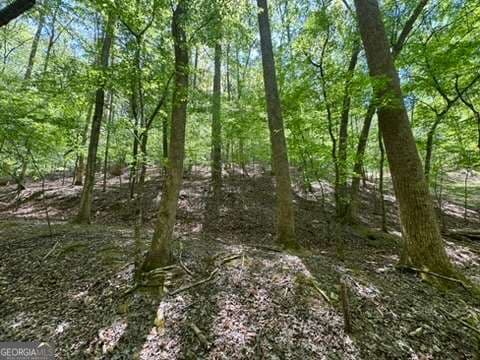 residential lot for sale at LOT 1972 Nancy Court, Ellijay, GA 30540 — photo 2