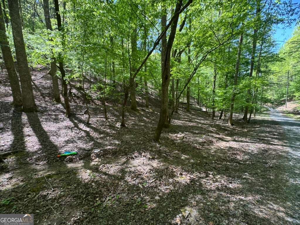residential lot for sale at LOT 1972 Nancy Court, Ellijay, GA 30540 — photo 6