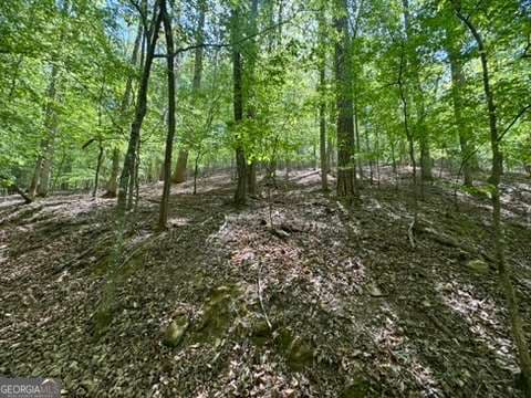 residential lot for sale at LOT 1972 Nancy Court, Ellijay, GA 30540 — photo 7