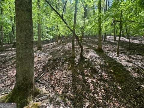residential lot for sale at LOT 1972 Nancy Court, Ellijay, GA 30540 — photo 3