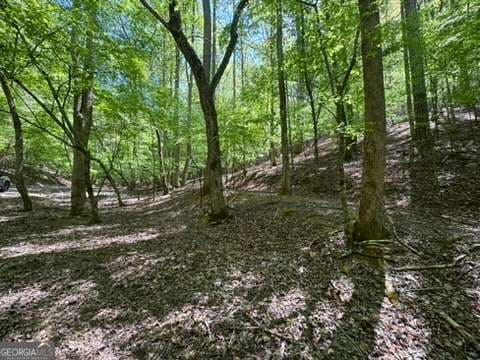 residential lot for sale at LOT 1972 Nancy Court, Ellijay, GA 30540 — photo 1 of 14