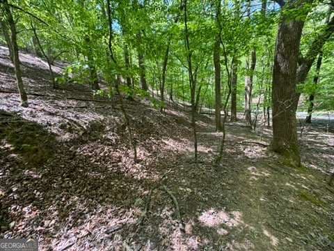 residential lot for sale at LOT 1972 Nancy Court, Ellijay, GA 30540 — photo 5