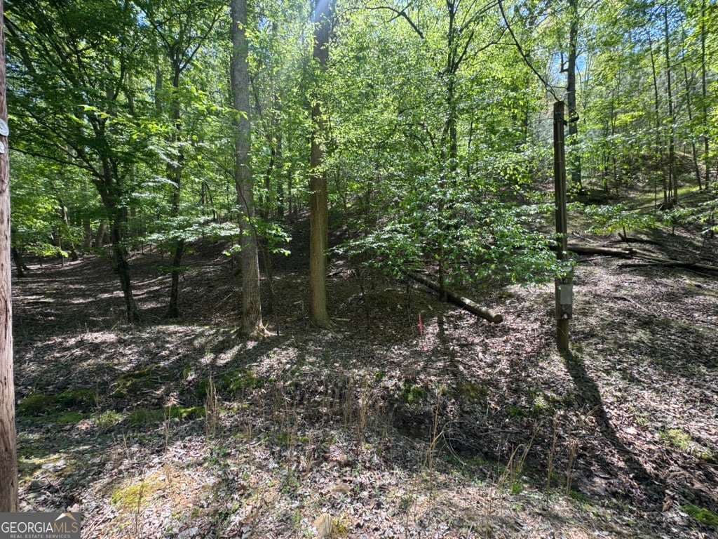residential lot for sale at LOT 1972 Nancy Court, Ellijay, GA 30540 — photo 9