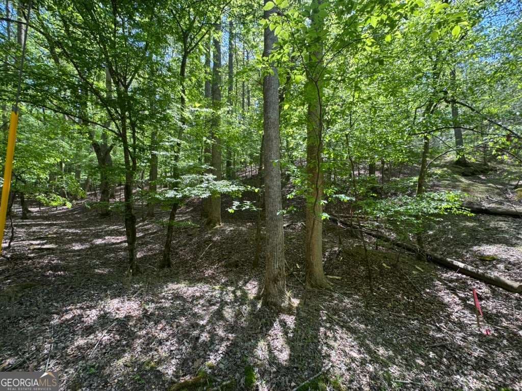 residential lot for sale at LOT 1972 Nancy Court, Ellijay, GA 30540 — photo 10