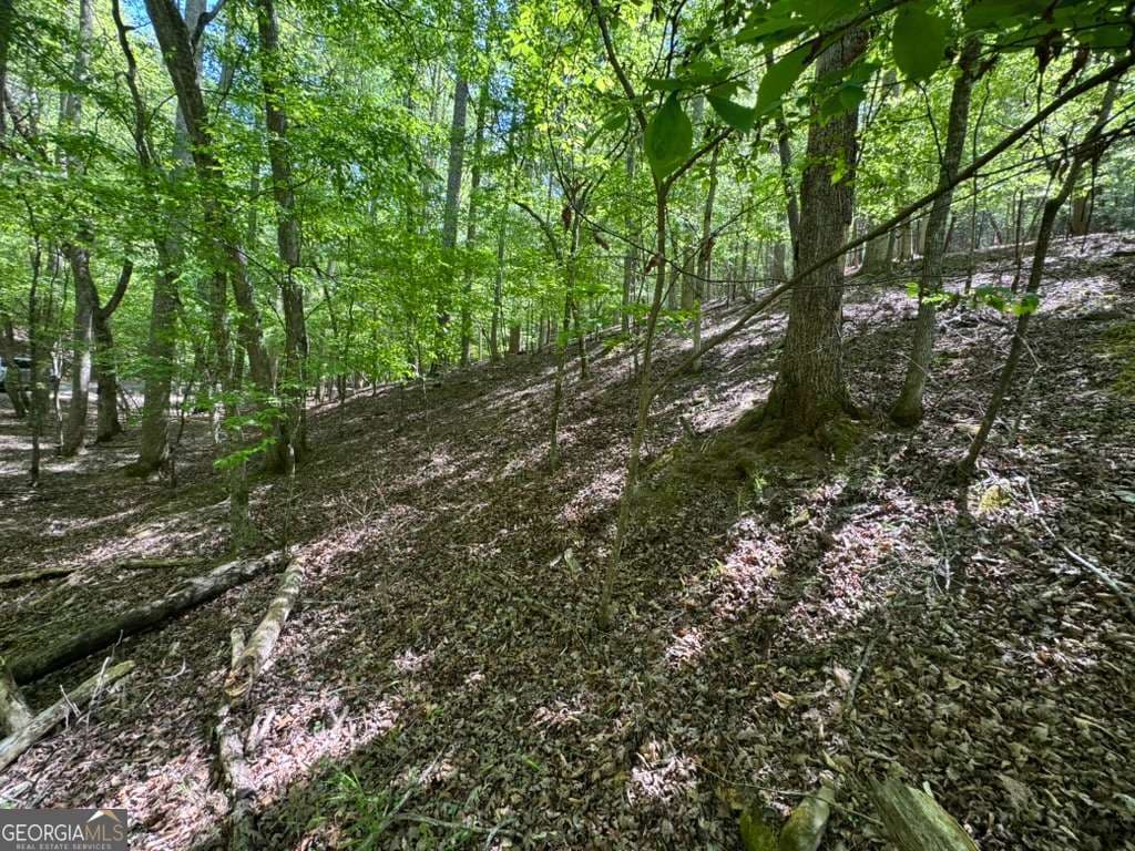residential lot for sale at LOT 1972 Nancy Court, Ellijay, GA 30540 — photo 4
