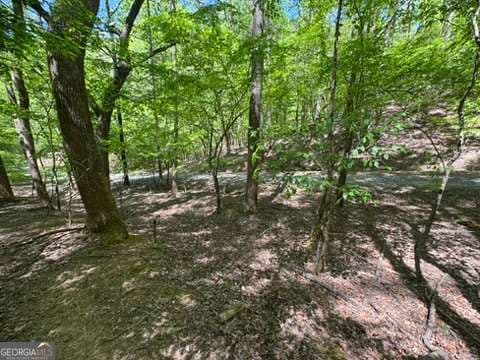 residential lot for sale at LOT 1972 Nancy Court, Ellijay, GA 30540 — photo 8