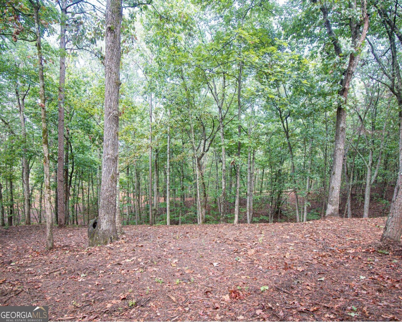 residential lot for sale at 480 Pin Hook Road, Ranger, GA 30734 — photo 6