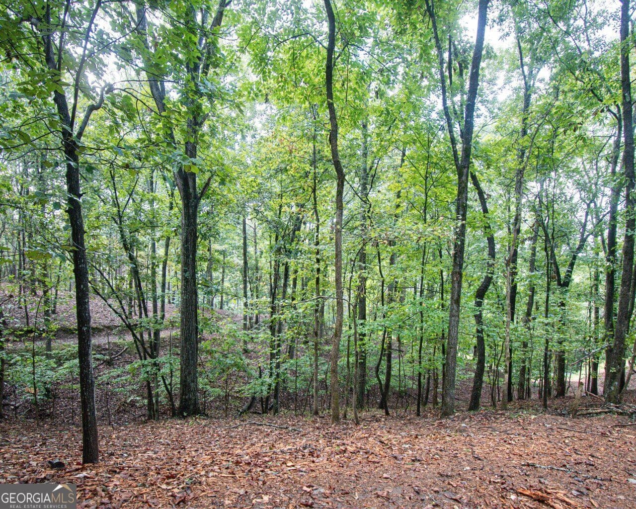 residential lot for sale at 480 Pin Hook Road, Ranger, GA 30734 — photo 3